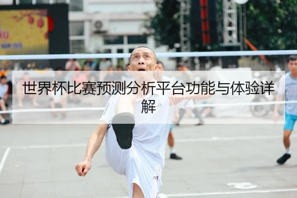 世界杯比赛预测分析平台功能与体验详解