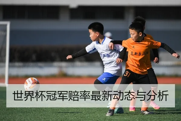 img_1780645994847_81_2_359.jpg