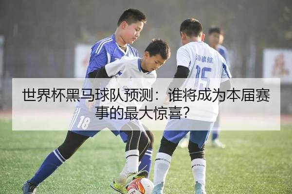 img_1780645968468_75_2_766.jpg