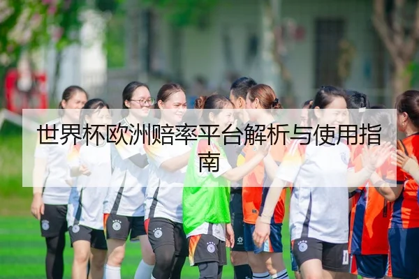 世界杯欧洲赔率平台解析与使用指南