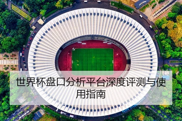世界杯盘口分析平台深度评测与使用指南