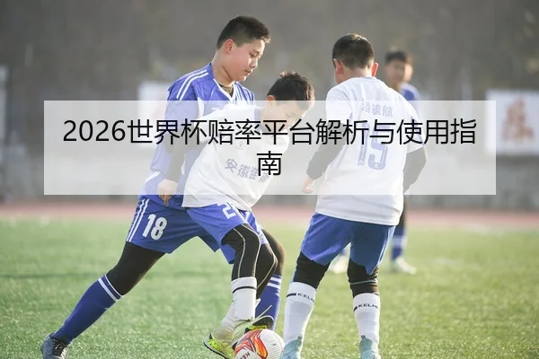 2026世界杯赔率平台解析与使用指南