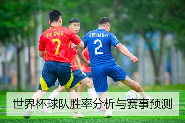 世界杯球队胜率分析与赛事预测