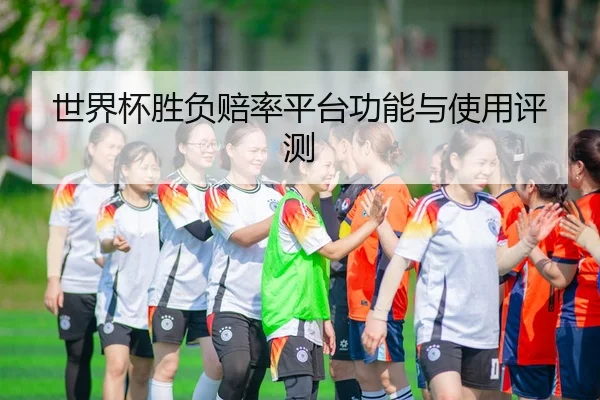 世界杯胜负赔率平台功能与使用评测