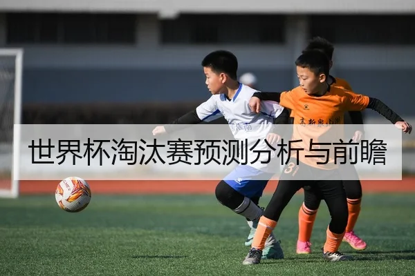 img_1780645983778_77_2_473.jpg