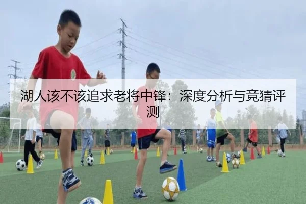 湖人该不该追求老将中锋：深度分析与竞猜评测